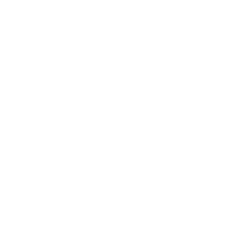 537fa0d47b58dcd03527328c_client_logo_mammoth.png